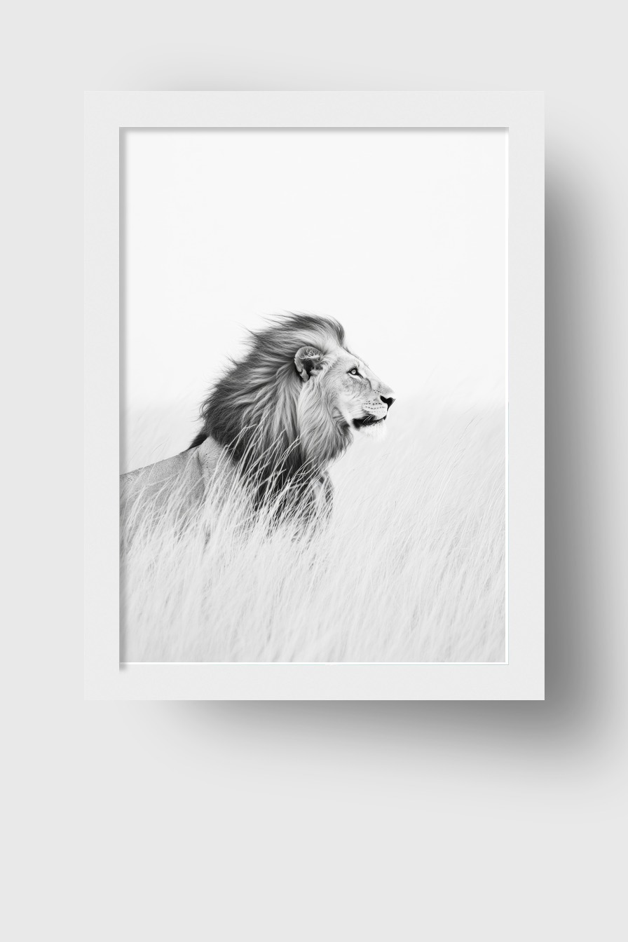 Fotografie Poster Löwe im Gras schwarz-weiß minimalistisch