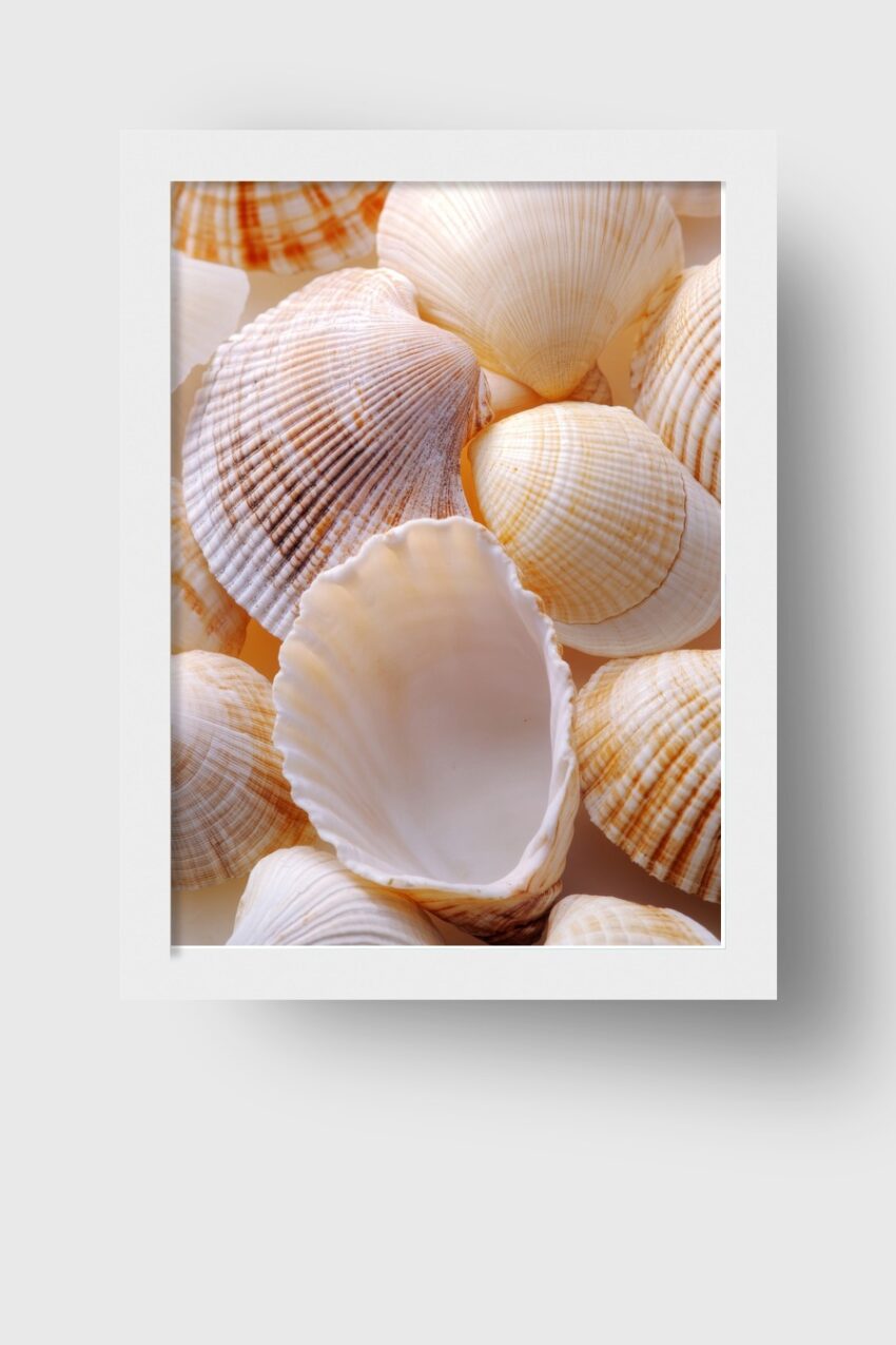 Fotografie Poster Muschel Nahaufnahme Sandfarben