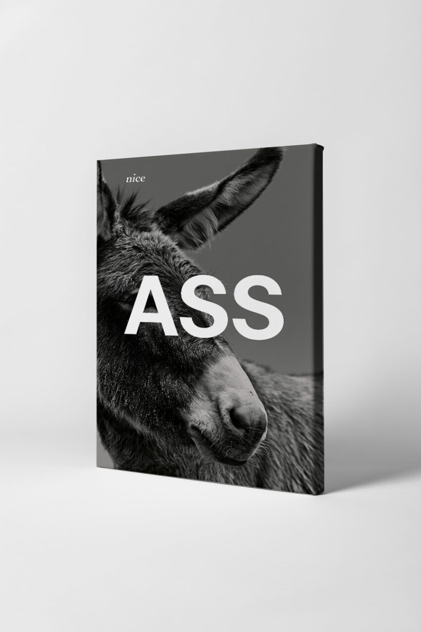Fotografie Poster Esel Porträt schwarz-weiß Nahaufnahme
