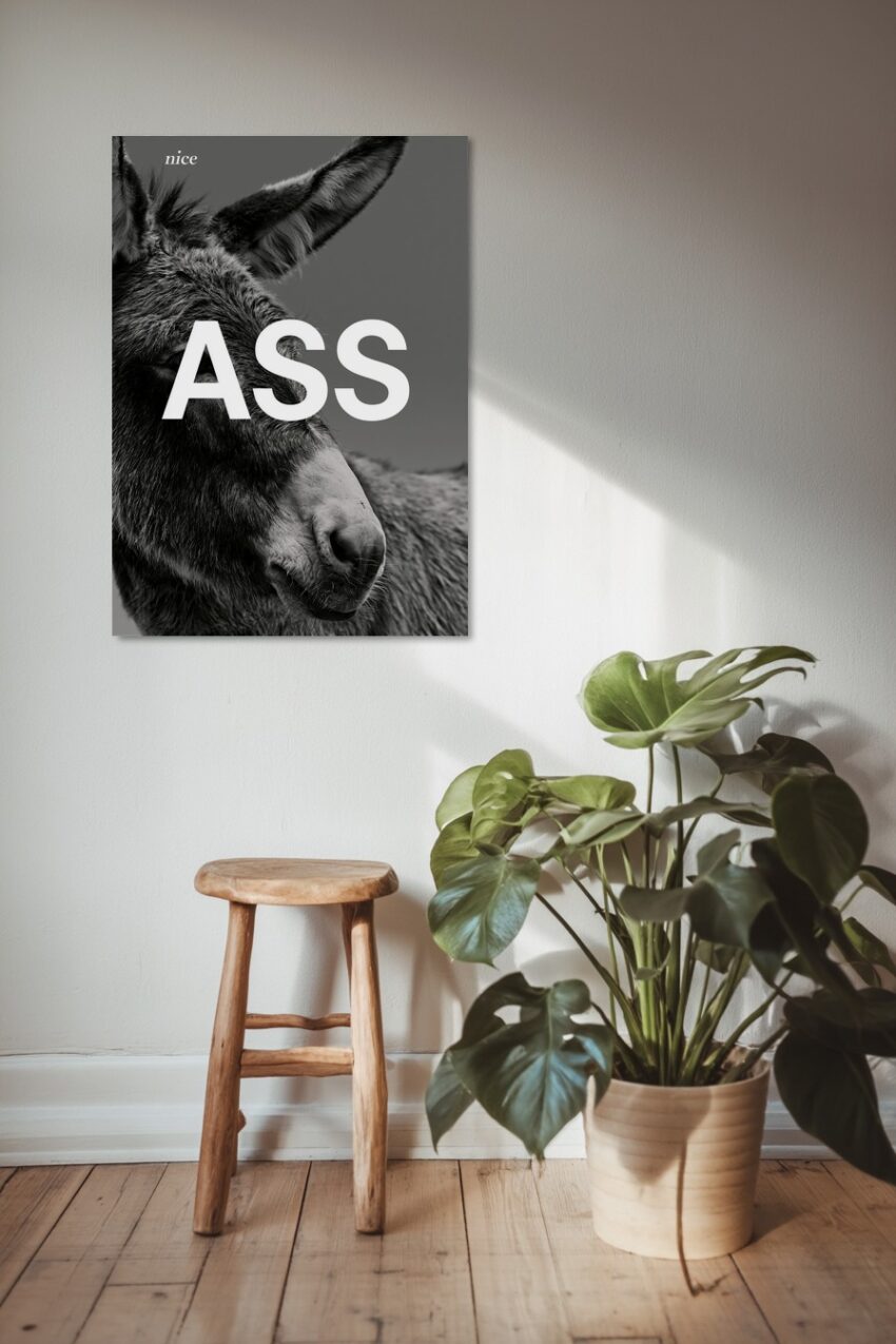 Fotografie Poster Esel Porträt schwarz-weiß Nahaufnahme
