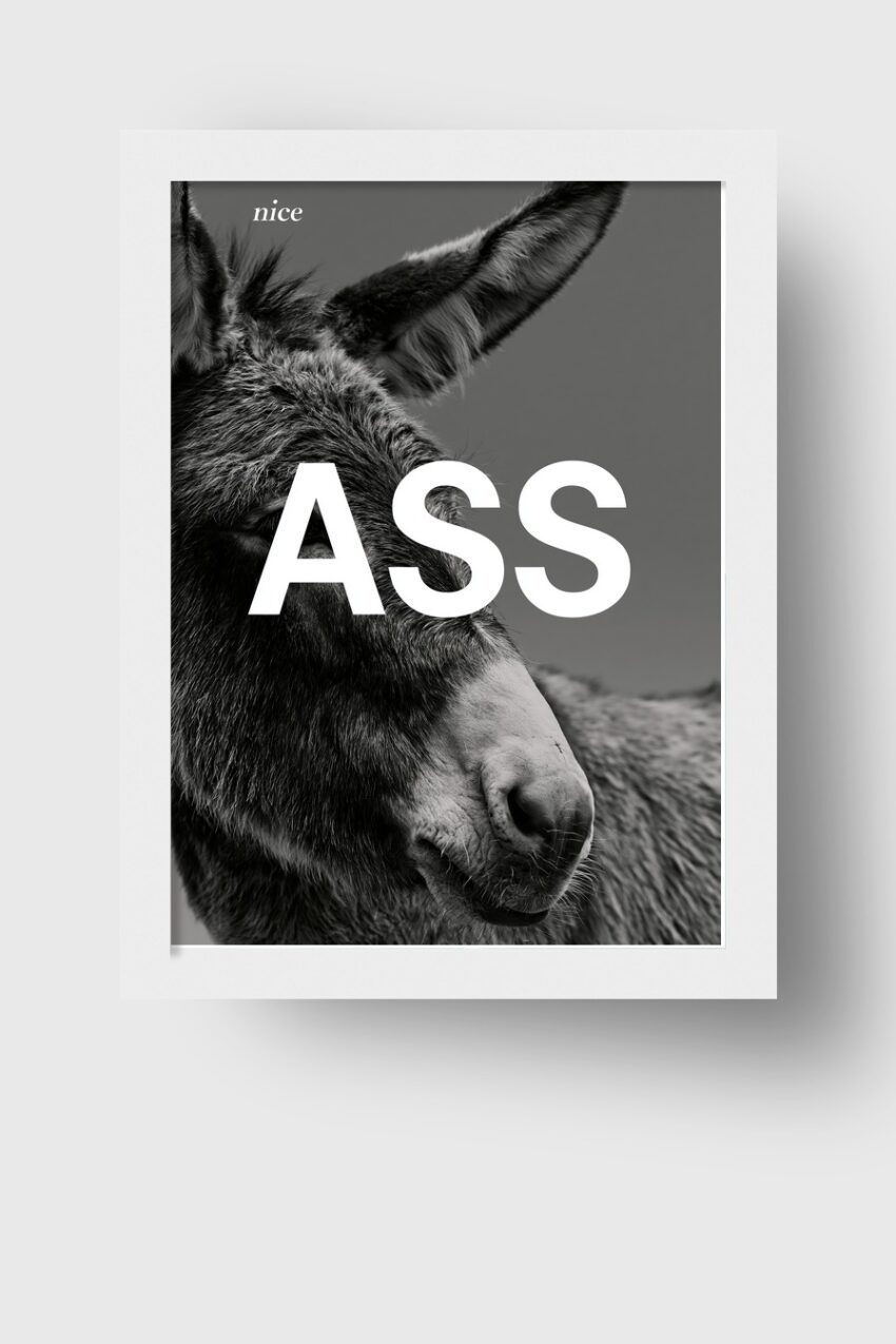 Fotografie Poster Esel Porträt schwarz-weiß Nahaufnahme