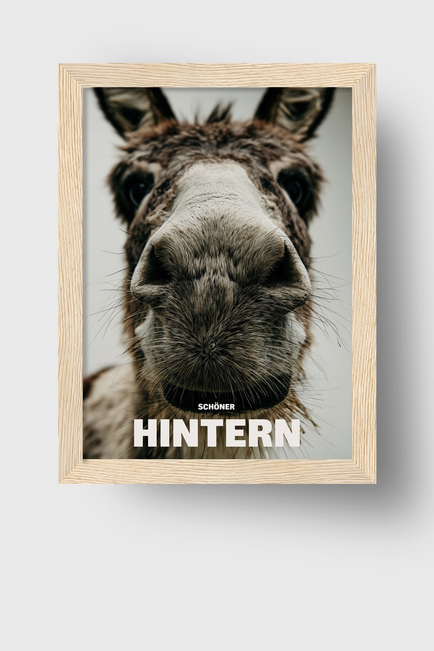 Fotografie Poster Esel Nase Nahaufnahme braun grau