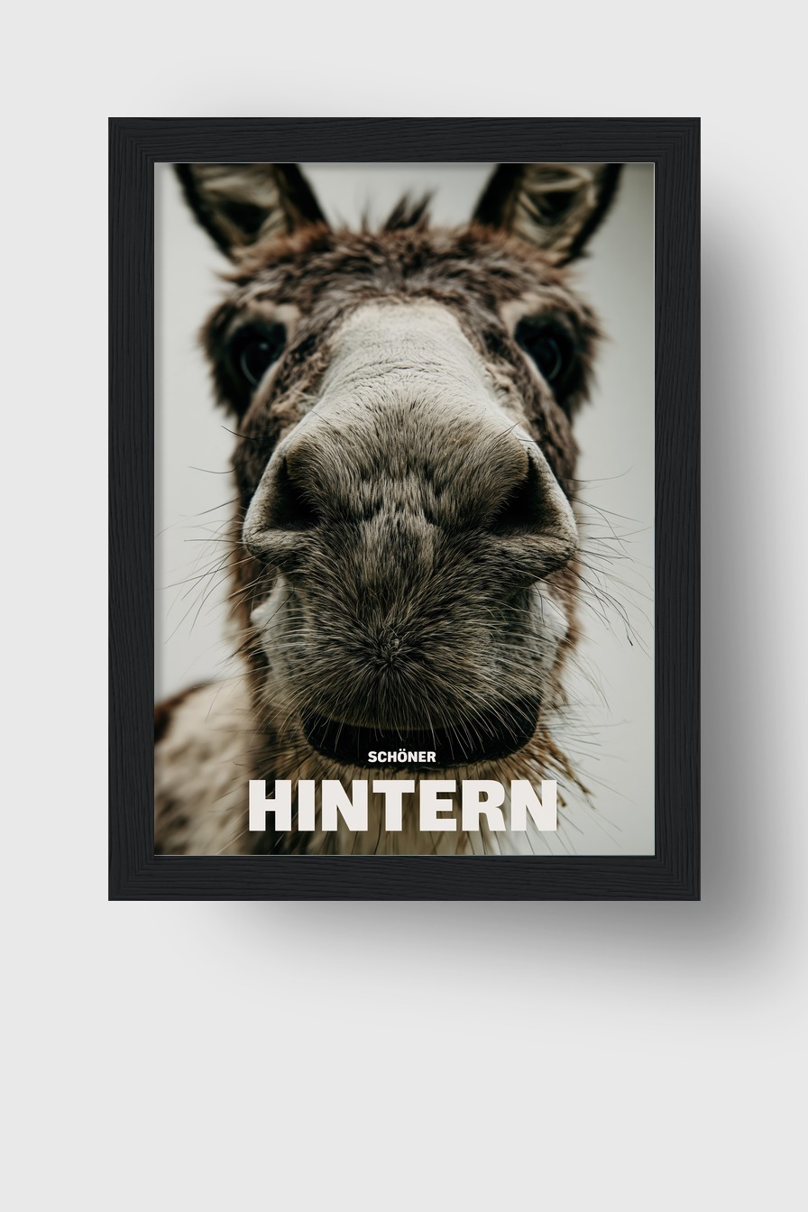 Fotografie Poster Esel Nase Nahaufnahme braun grau