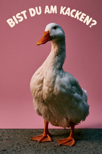 Ente auf Boden Poster
