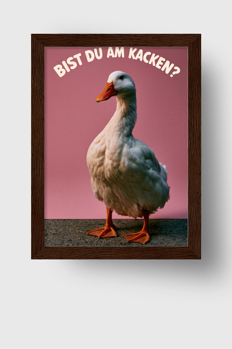 Fotografie Poster Ente frontal weiß rosa