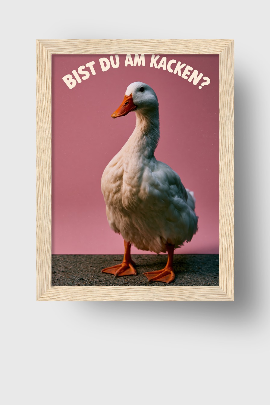 Fotografie Poster Ente frontal weiß rosa