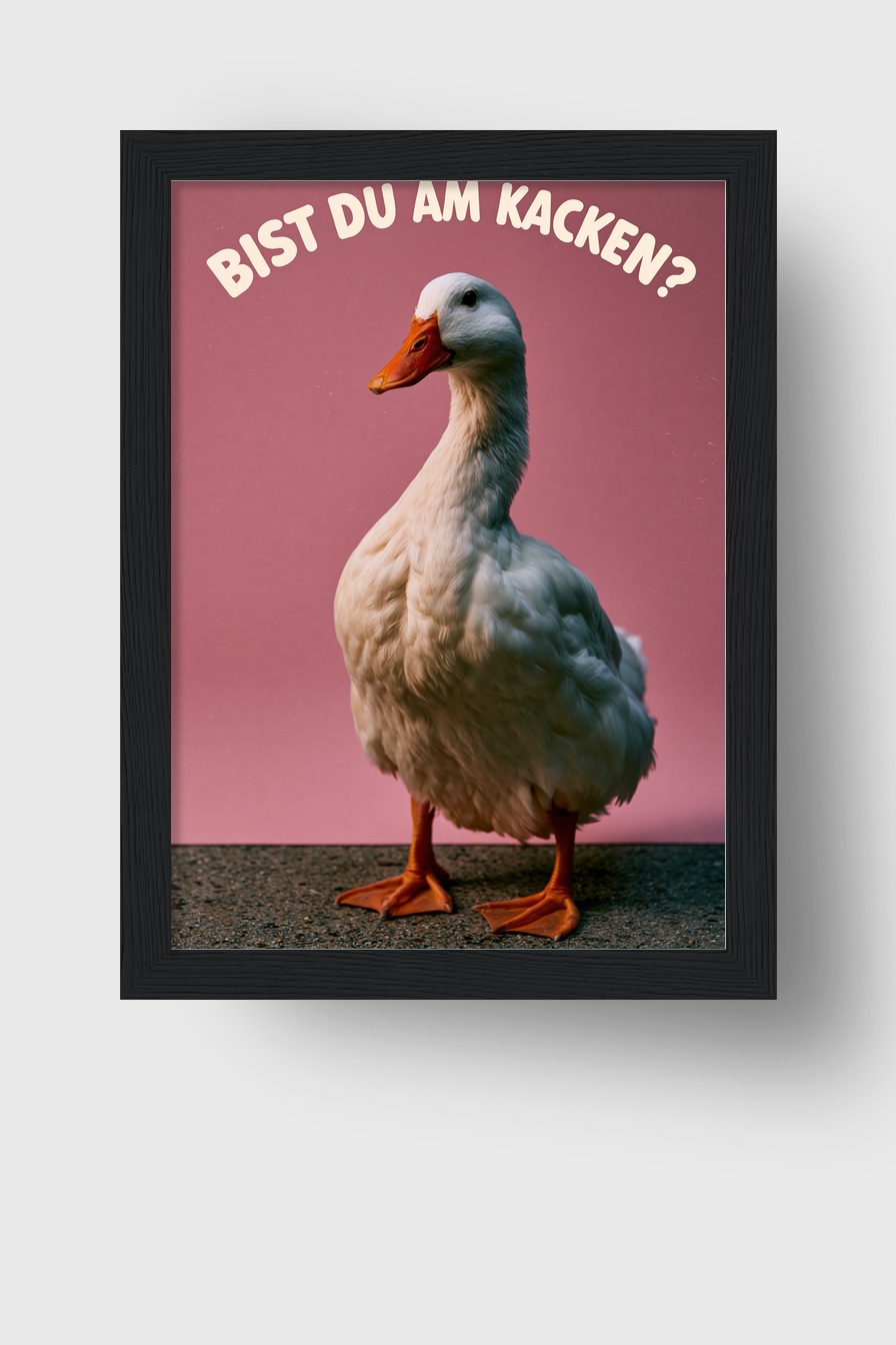 Fotografie Poster Ente frontal weiß rosa