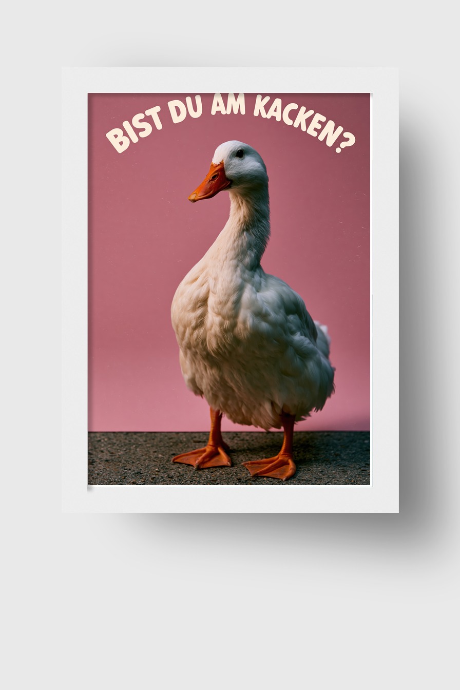Fotografie Poster Ente frontal weiß rosa