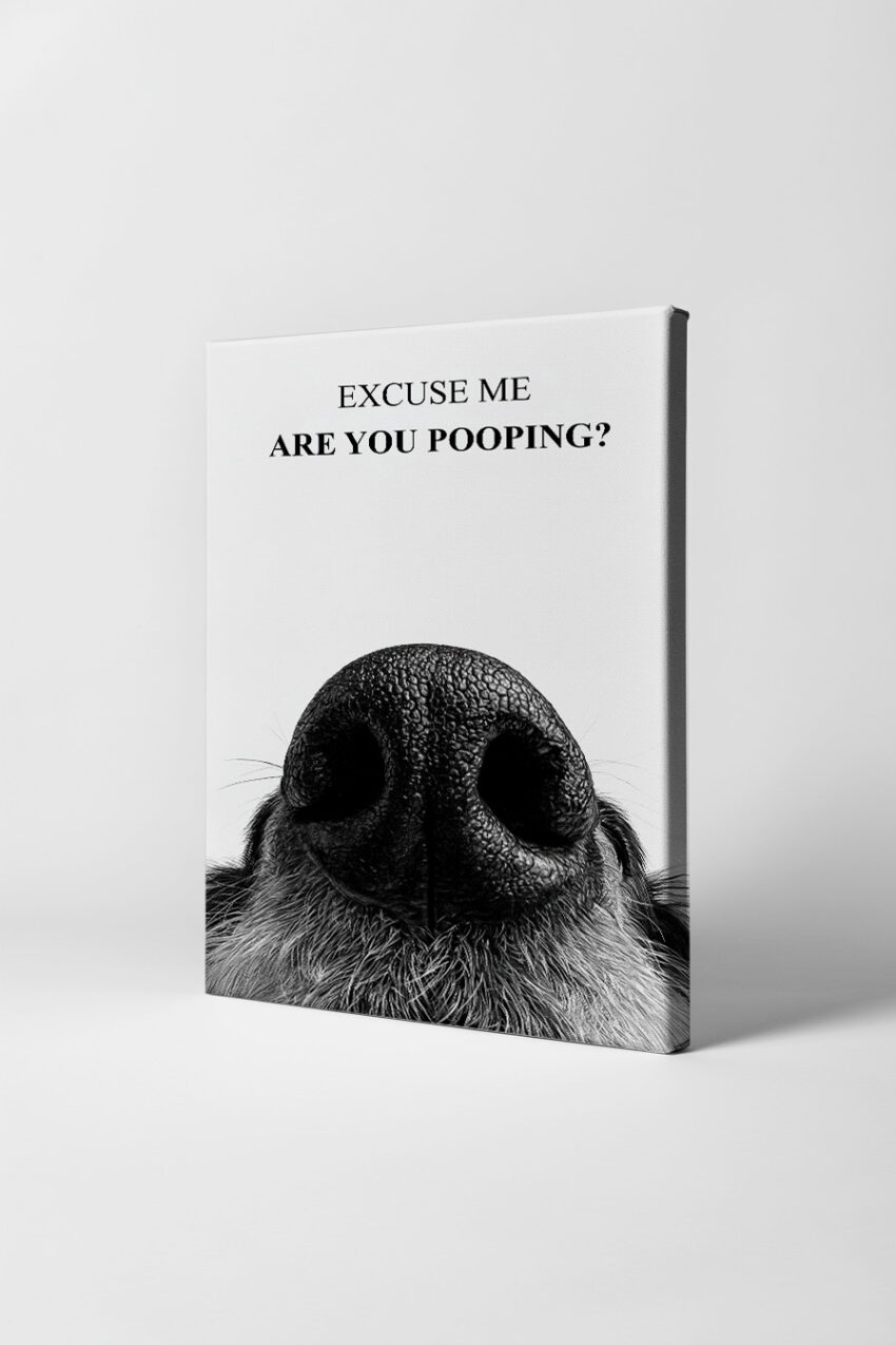 Fotografie Poster Hunde Nase Nahaufnahme schwarz-weiß