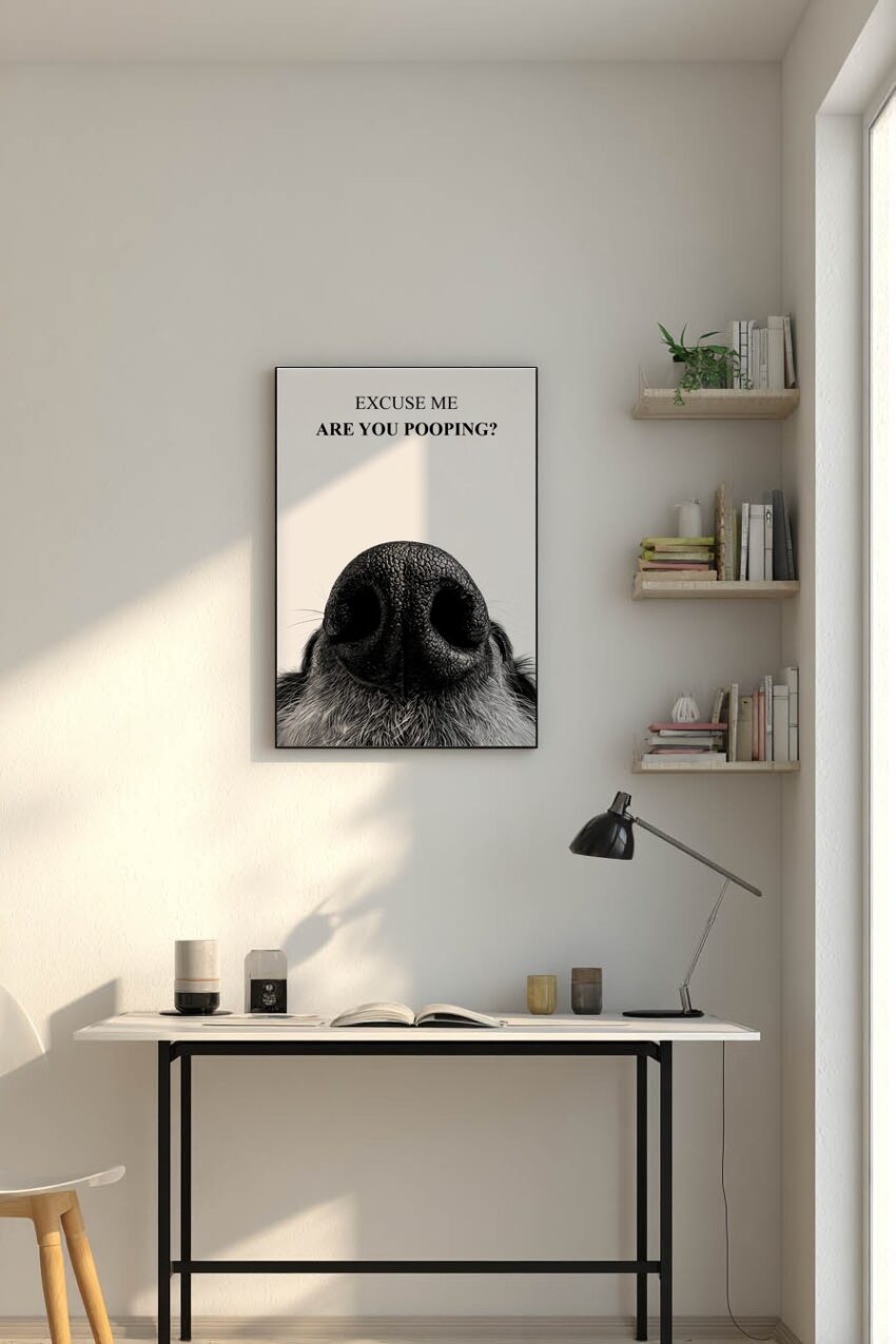 Fotografie Poster Hunde Nase Nahaufnahme schwarz-weiß