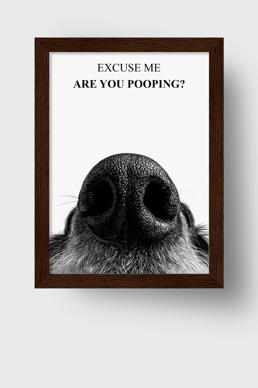 Fotografie Poster Hunde Nase Nahaufnahme schwarz-weiß