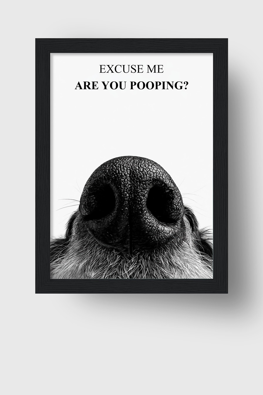 Fotografie Poster Hunde Nase Nahaufnahme schwarz-weiß