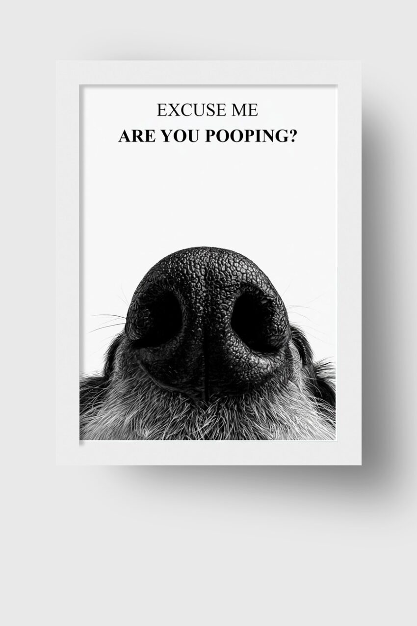 Fotografie Poster Hunde Nase Nahaufnahme schwarz-weiß