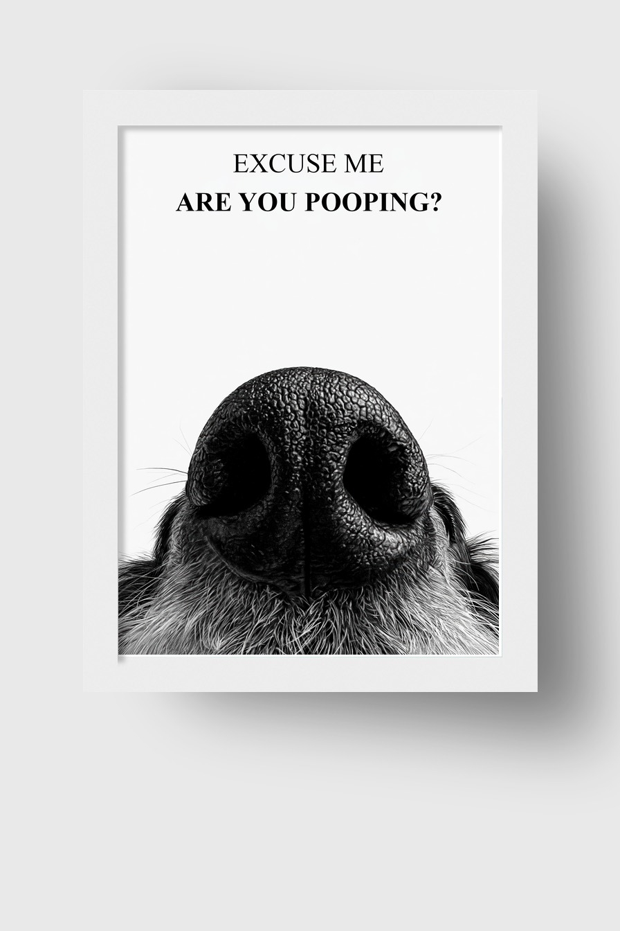 Fotografie Poster Hunde Nase Nahaufnahme schwarz-weiß