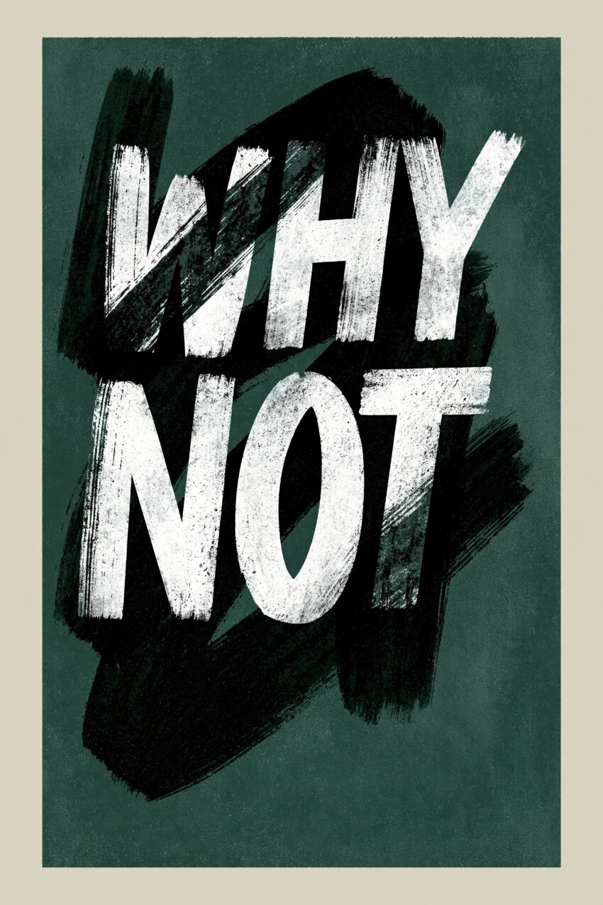 Grafikdesign Poster Schrift Why Not weiß schwarz kontrast